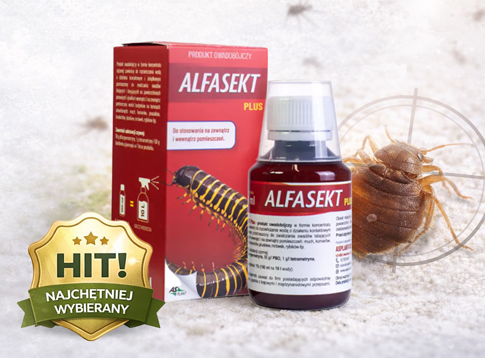 Alfasekt na&nbsp;pluskwy